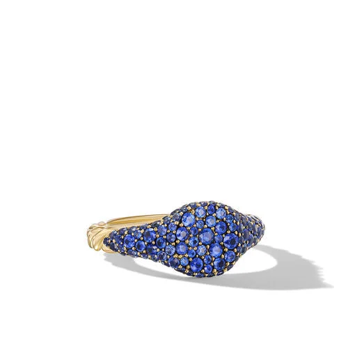 Rings with pave ruby for dazzling sparkle -Petite Pavé Pinky Ring in 18K Yellow Gold with Sapphires, Size 4